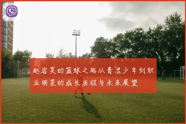 赵岩昊的篮球之路从青涩少年到职业明星的成长历程与未来展望