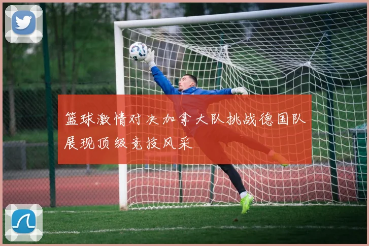 篮球激情对决加拿大队挑战德国队展现顶级竞技风采