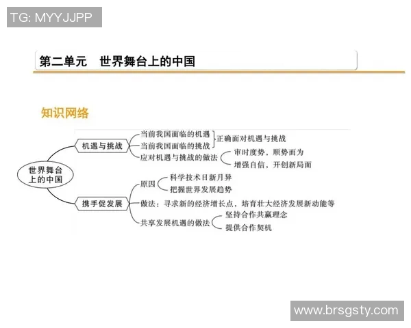 赖斯的崛起与挑战：解析她在国际舞台上的影响力与未来发展方向